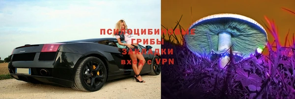 a pvp Абинск