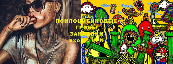 a pvp Абинск