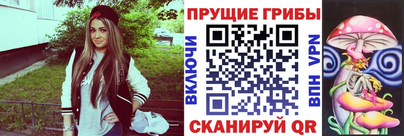 ссылка на мегу ссылка  Устюжна  Псилоцибиновые грибы MAGIC MUSHROOMS 